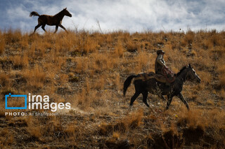 یک روز با محیطبانان پایگاه «وارنگه‌رود»