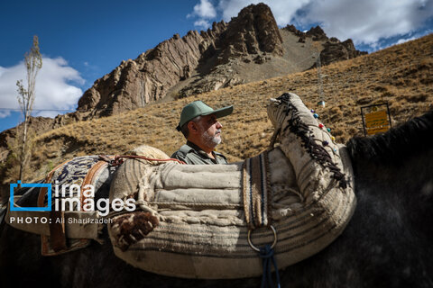 حفاظت بی‌وقفه