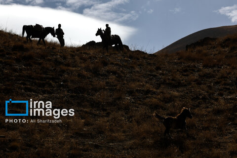 حفاظت بی‌وقفه