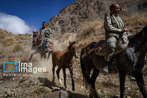 حفاظت بی‌وقفه