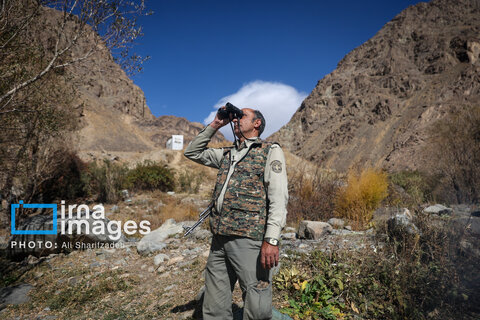 حفاظت بی‌وقفه