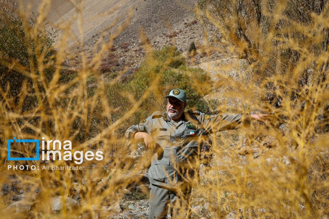 حفاظت بی‌وقفه