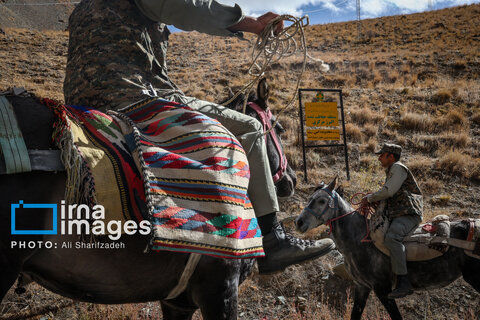 حفاظت بی‌وقفه