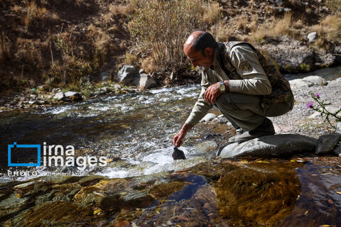 حفاظت بی‌وقفه