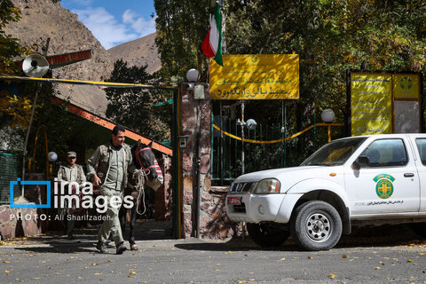 حفاظت بی‌وقفه