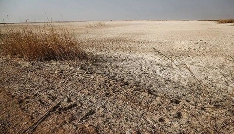 طرح ملی برای احیای تالاب‌های قزوین و البرز کلید خورد