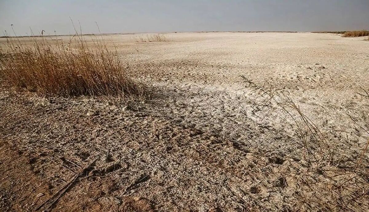 طرح ملی برای احیای تالاب‌های قزوین و البرز کلید خورد