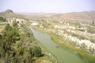 رفع تصرف ۲.۵ هکتار از اراضی منطقه حفاظت شده «باهوکلات» در راسک