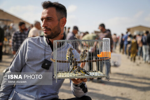 بازار پرنده‌فروش‌های بجنورد