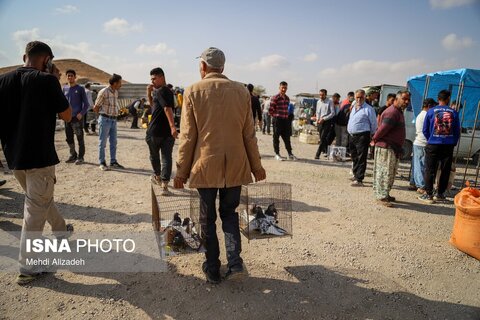 بازار پرنده‌فروش‌های بجنورد