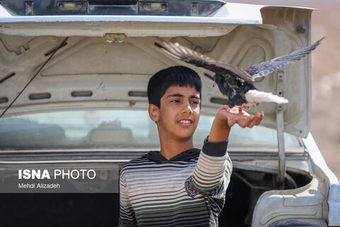 بازار پرنده‌فروش‌های بجنورد