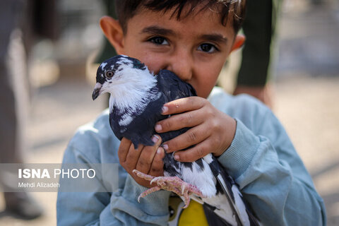 بازار پرنده‌فروش‌های بجنورد