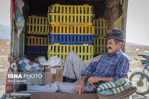 بازار پرنده‌فروش‌های بجنورد