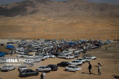 بازار پرنده‌فروش‌های بجنورد