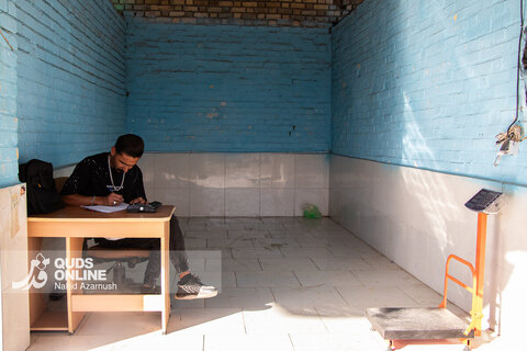 گزارش تصویری | برداشت "طلای سرخ" در مزارع زاوه