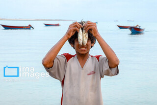 «چابهار» رنگ، فرهنگ و زندگی