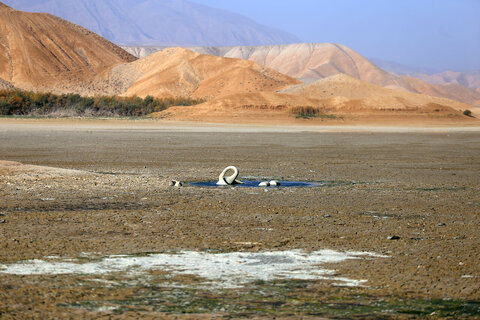 عکس روز | خشک شدن سد خاکی عبدل‌آباد بجنورد