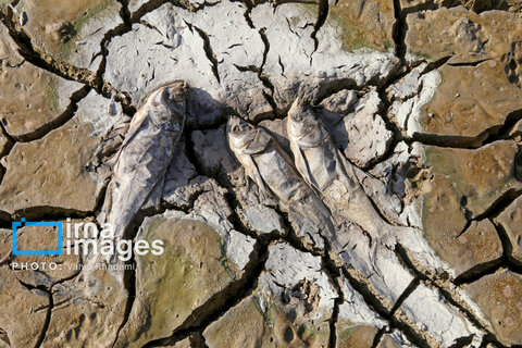 عکس روز | خشک شدن سد خاکی عبدل‌آباد بجنورد