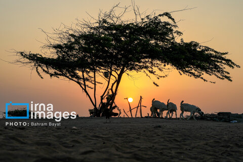 «چابهار» رنگ، فرهنگ و زندگی