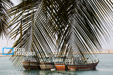 «چابهار» رنگ، فرهنگ و زندگی