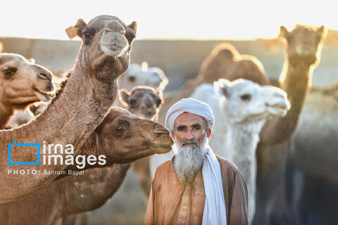 «چابهار» رنگ، فرهنگ و زندگی