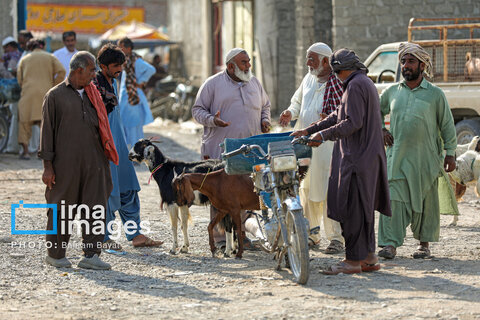 «چابهار» رنگ، فرهنگ و زندگی