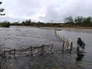 سد غیرمجاز ماهیگیری در رودخانه ناورود تالش جمع آوری شد