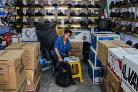 درس ، کار ، زندگی