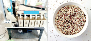 از سردخانه تا سفره بیماران؛ اختراعی که کینوا را ایرانی کرد