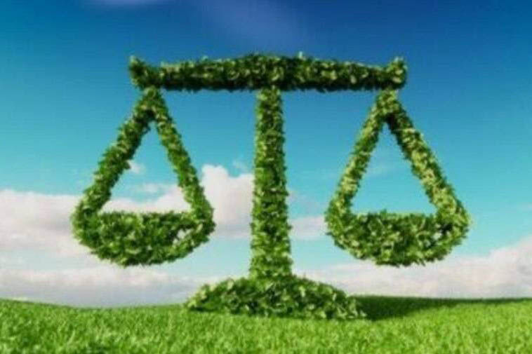 حکم سبز برای چهار متخلف زیست‌محیطی در پلدختر صادر شد