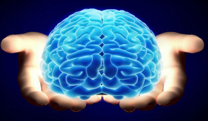 وقتی فراموشی دیگر طبیعی نیست؛ زنگ خطر مغز را جدی بگیرید