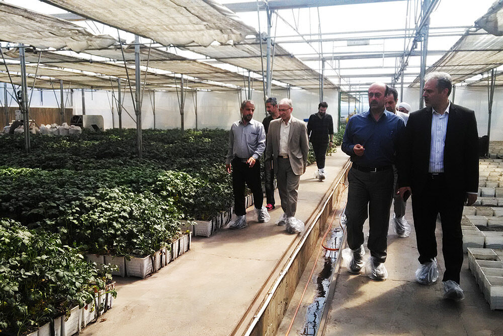 اردبیل و فرصت‌های سرمایه‌گذاری در تولید بذر و گیاه دارویی