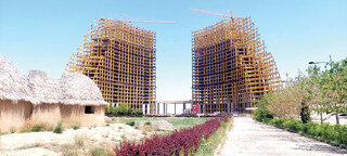 پدیده سرمایه‌سوزی