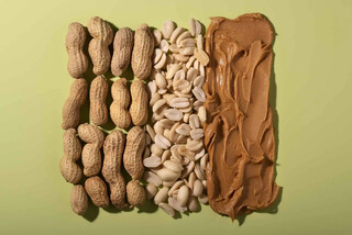 بدن انسان می‌تواند یاد بگیرد/ درمان آلرژی پیدا شد