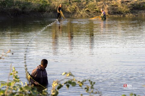 آب بندان‌های پرورش ماهی در آزادشهر