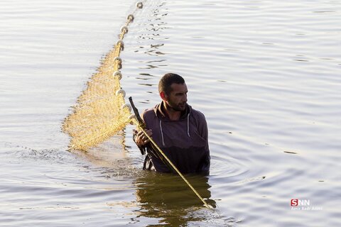 آب بندان‌های پرورش ماهی در آزادشهر