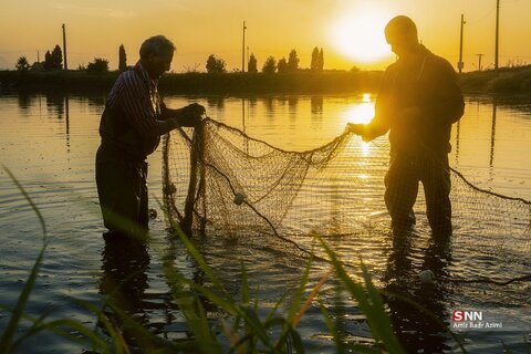 آب بندان‌های پرورش ماهی در آزادشهر