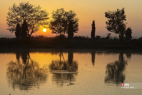 آب بندان‌های پرورش ماهی در آزادشهر