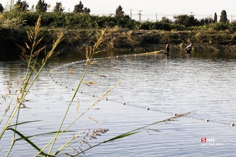آب بندان‌های پرورش ماهی در آزادشهر