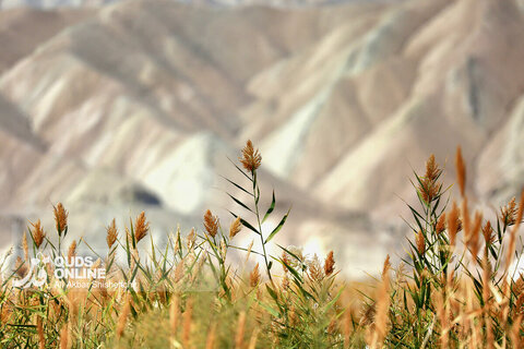 کوه‌های رنگی ماه‌نشان