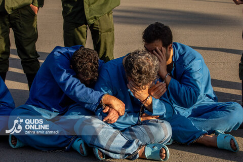 دستگیری گسترده سارقان و مالخران