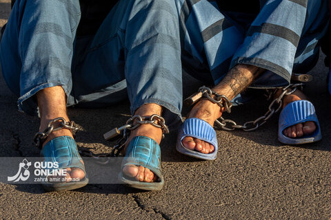 دستگیری گسترده سارقان و مالخران