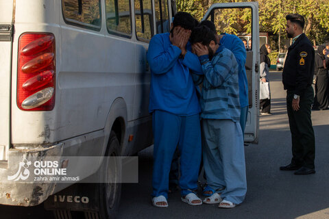 دستگیری گسترده سارقان و مالخران