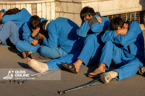 دستگیری گسترده سارقان و مالخران