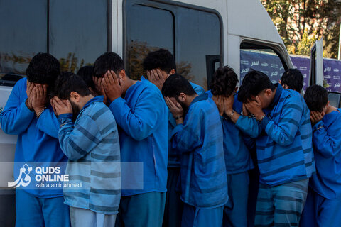 دستگیری گسترده سارقان و مالخران