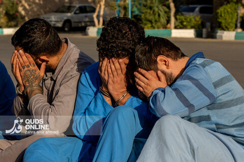 دستگیری گسترده سارقان و مالخران