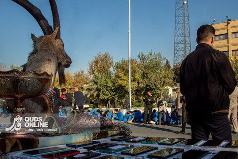 دستگیری گسترده سارقان و مالخران