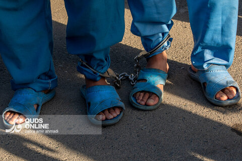 دستگیری گسترده سارقان و مالخران