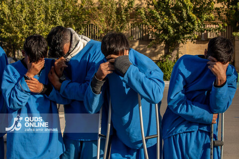 دستگیری گسترده سارقان و مالخران