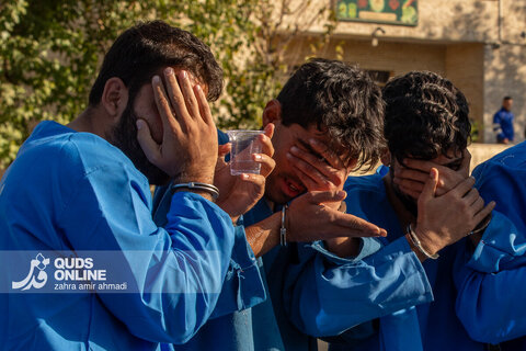 دستگیری گسترده سارقان و مالخران